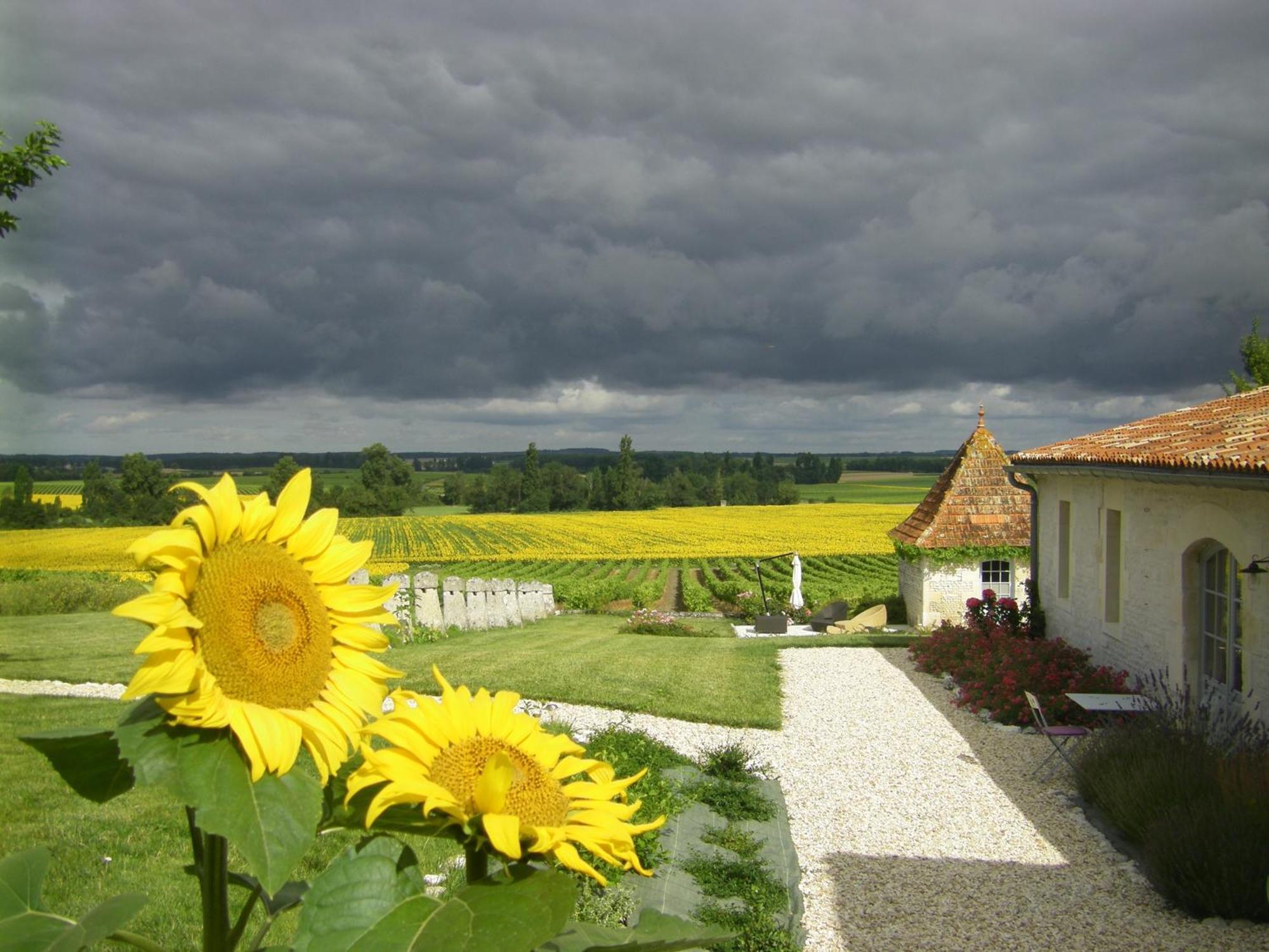 Chambre D'Hotes Clos Des Pierres Blanches Brie-sous-Archiac Exterior photo